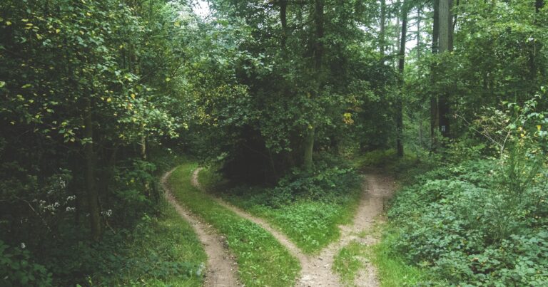 Term vs whole of life insurance in the UK: how to choose in 2026